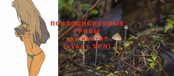 ALPHA PVP Лагань