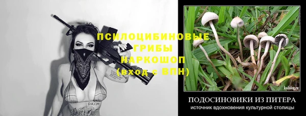 Альфа ПВП Липки
