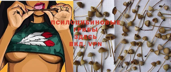 кокаин Лабытнанги